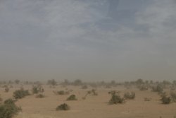 Fahrt von Nioro nach Gogui. Fahrt von Nioro nach Gogui.