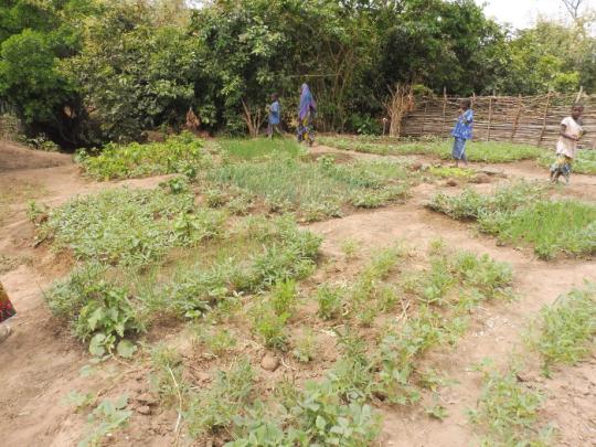 Dieses Photo ist im bisherigen Garten entstanden.